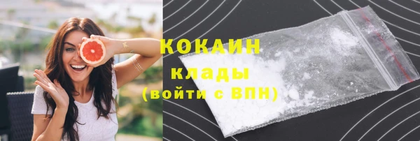 скорость Новозыбков