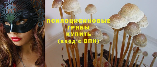молекула духа Абинск