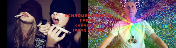 мет Абаза
