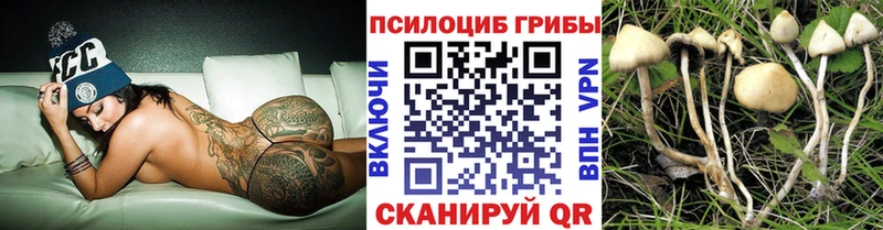 маркетплейс клад  MEGA ссылки  Брюховецкая  Псилоцибиновые грибы мицелий 